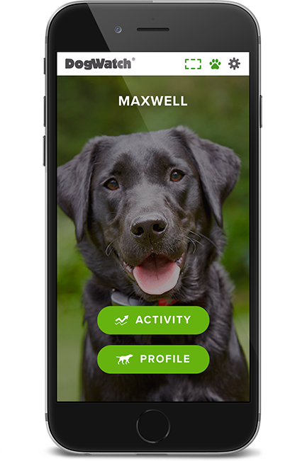 DogWatch of Savannah and Hilton Head Island, Okatie, South Carolina | SmartFence WebApp Image